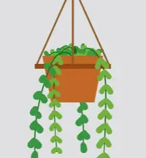Hanging Pot